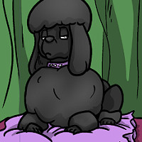 Lavender (Dog) Lavender (Dog)